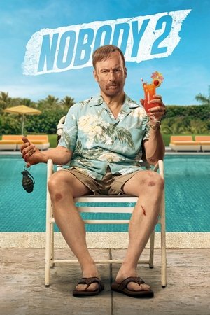 Nobody 2 (2025) WEBRIP Hindi (MULTI AUDIO) 720p – 480p – 1080p
